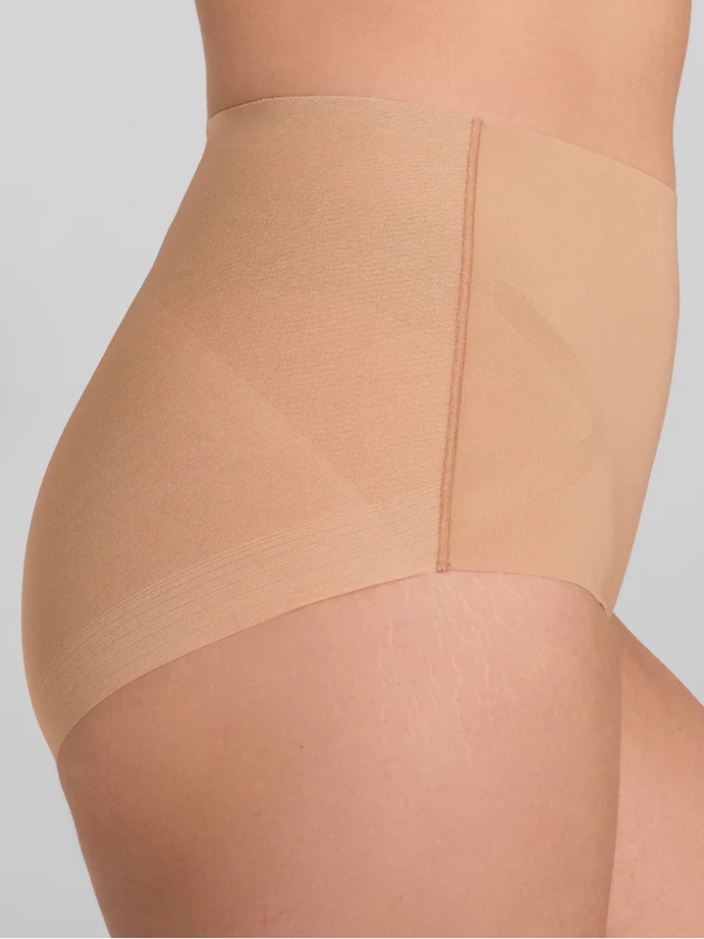Honeylove Shapewear Briefs in Nude